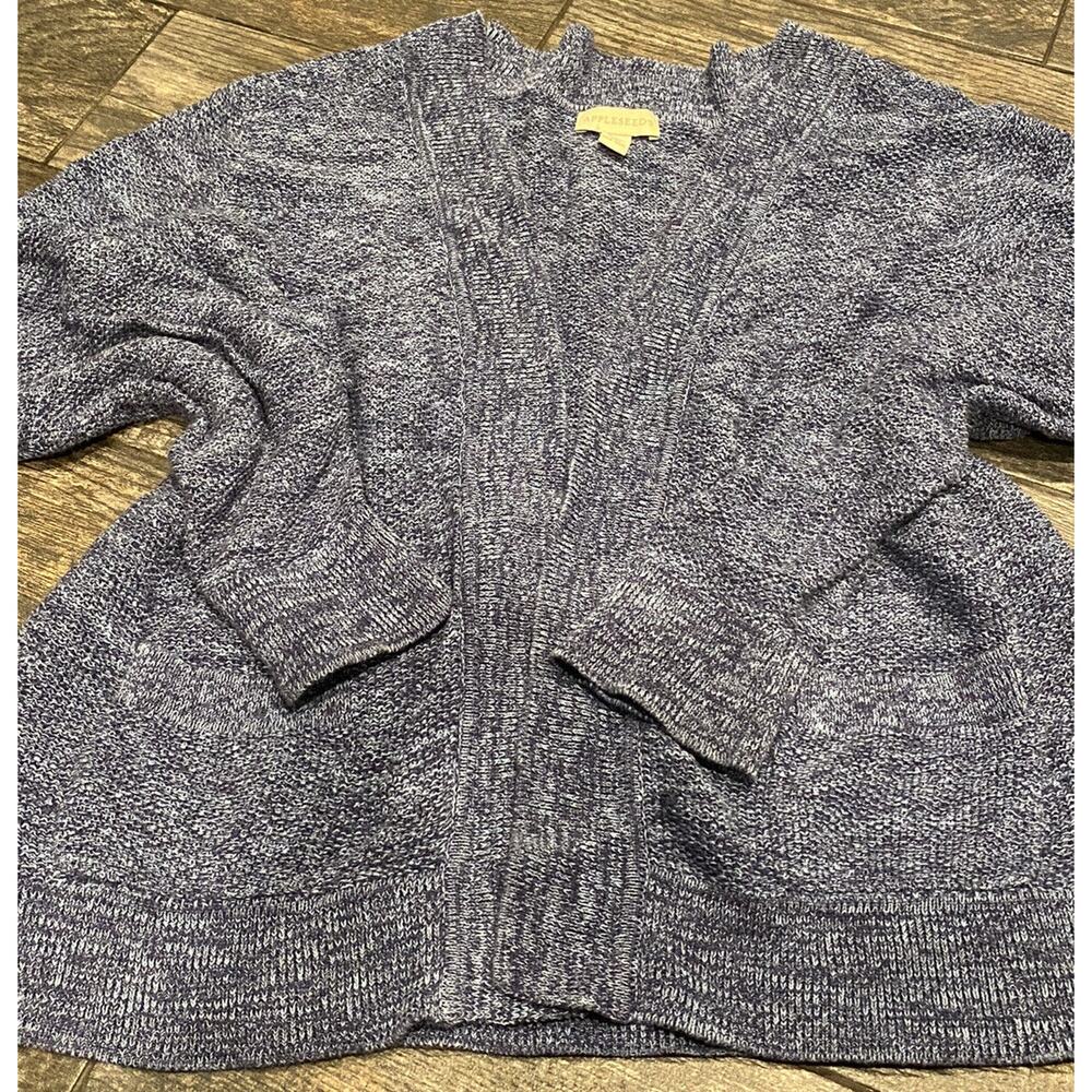Appleseed’s Large L Open Front Chunky Blue Womens Sweater